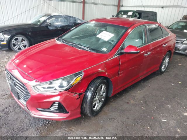 5NPE34AF6JH604177 Hyundai SONATA SEL