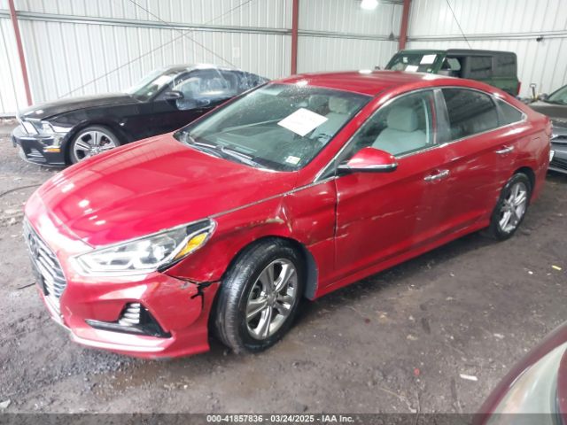 5NPE34AF6JH604177 Hyundai SONATA SEL