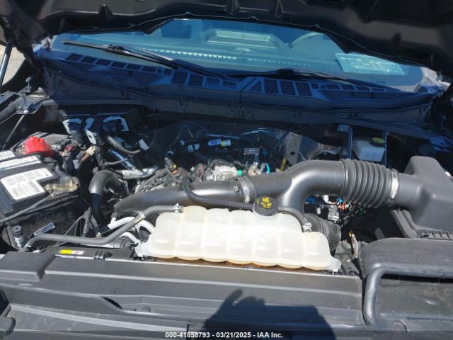 1FTEW1EP0MFA56166 Ford F-150 Xl