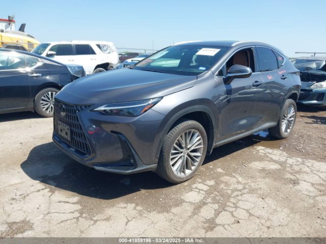 2T2GKCEZ6PC012862 Lexus Nx 350h Premium