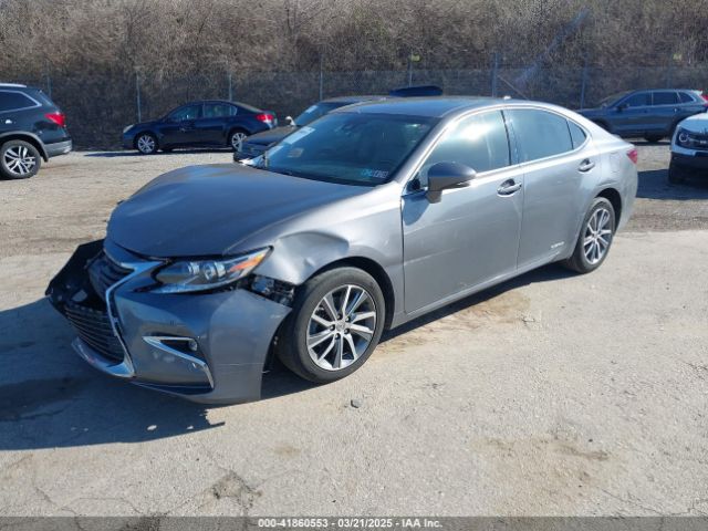 JTHBW1GG7H2145843 Lexus Es Es 300h
