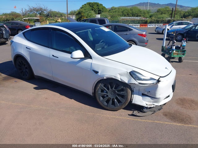 2021 TESLA MODEL Y 5YJYGAEE3MF194197 Photo 0