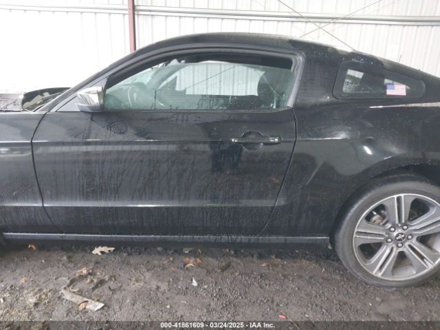 1ZVBP8AM5E5284026 Ford Mustang V6