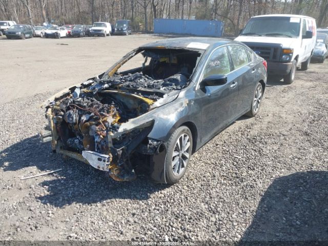 1N4AL3AP6HC116716 Nissan Altima