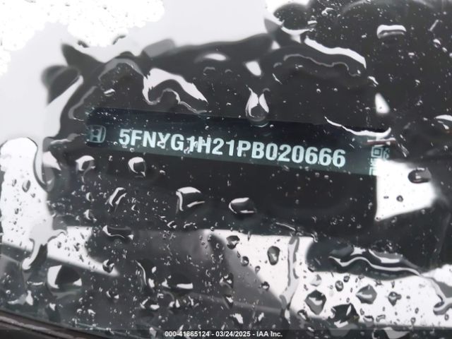 5FNYG1H21PB020666 Honda Pilot Awd Lx
