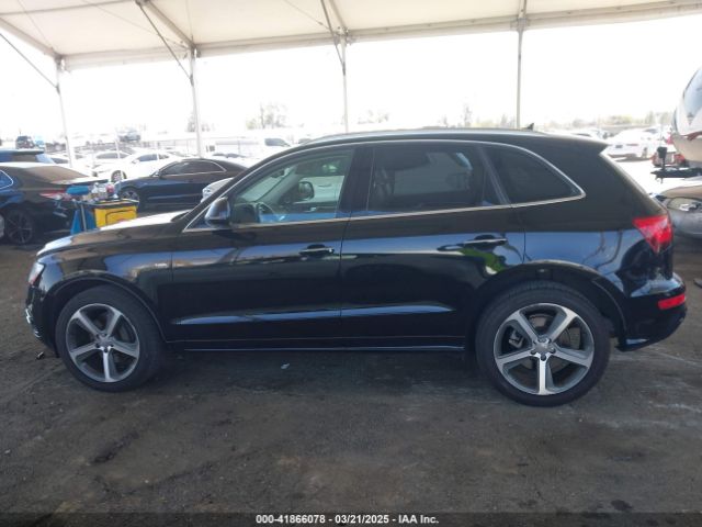 WA1D7AFP3HA041567 Audi Q5 3.0t Premium Plus