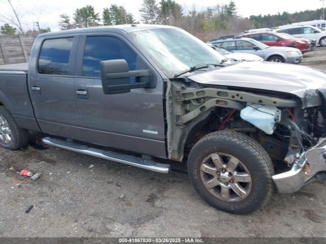 1FTFW1ET3EFA74454 Ford F-150 Xlt