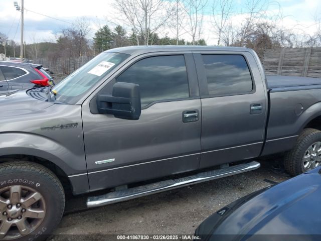 1FTFW1ET3EFA74454 Ford F-150 Xlt