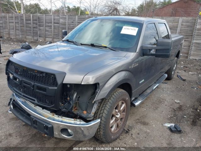 1FTFW1ET3EFA74454 Ford F-150 Xlt
