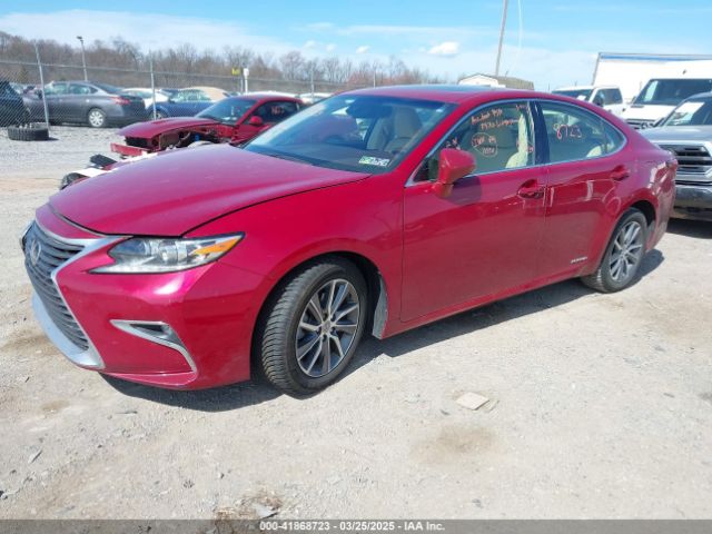 JTHBW1GG2H2140551 Lexus Es Es 300h