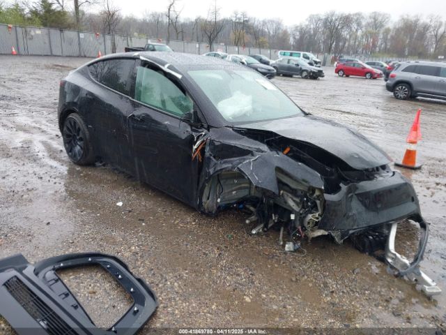 2023 TESLA MODEL Y 7SAYGDEF0PF715703