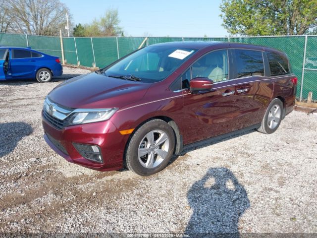 5FNRL6H75KB116656 Honda Odyssey Ex-l