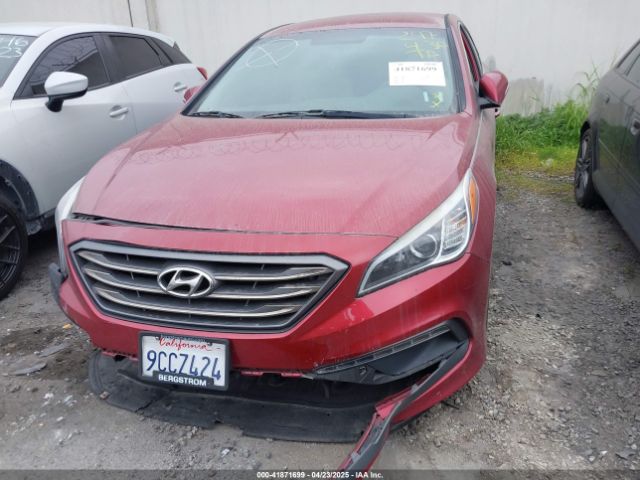 5NPE34AF8GH354918 Hyundai Sonata Sport