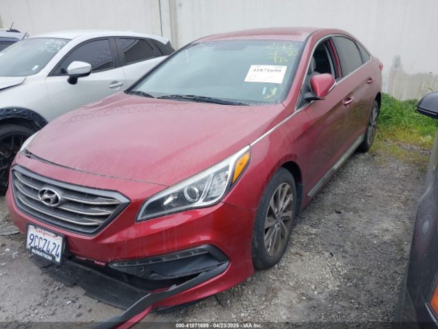 5NPE34AF8GH354918 Hyundai Sonata Sport