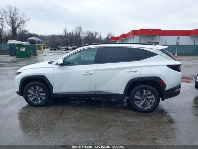 KM8JBCA10NU083836 Hyundai Tucson Hybrid Blue