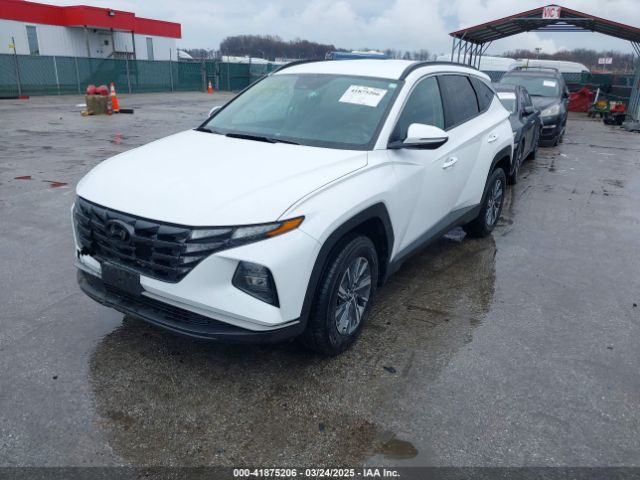 KM8JBCA10NU083836 Hyundai Tucson Hybrid Blue