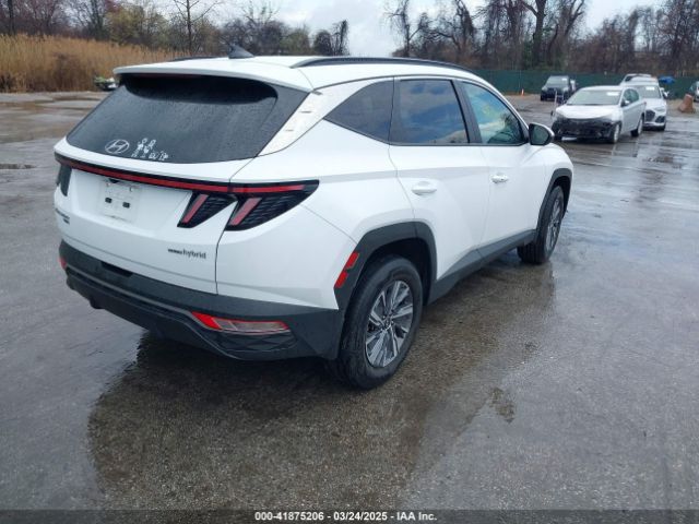 KM8JBCA10NU083836 Hyundai Tucson Hybrid Blue