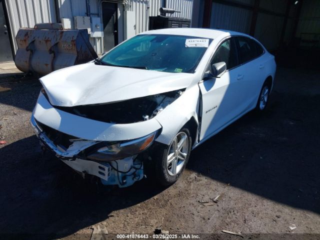 1G1ZC5ST8PF156239 Chevrolet Malibu Fwd 1fl