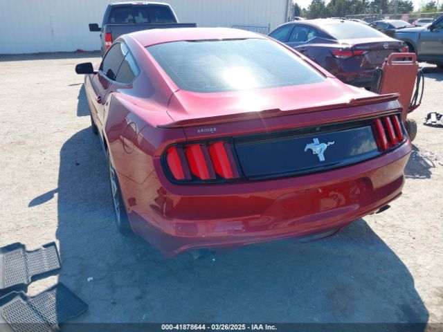 1FA6P8AM7H5353393 Ford Mustang V6