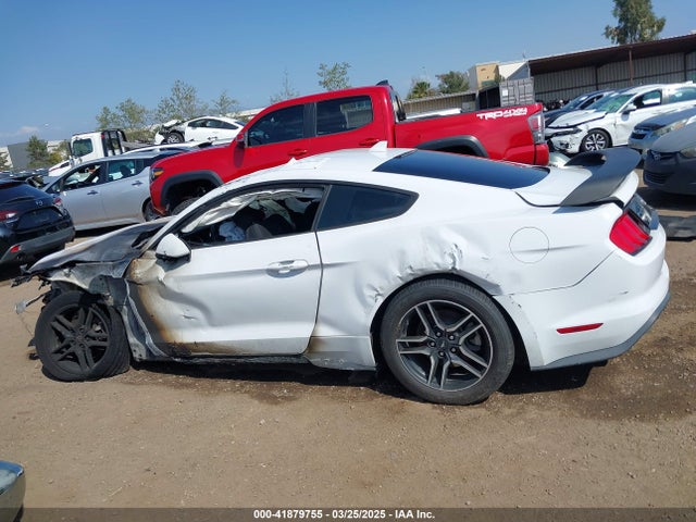 Ford Mustang Ecoboost Fastback 2021 1FA6P8TH6M5104559 Image 14