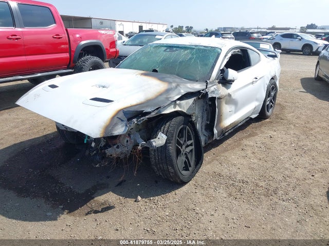 Ford Mustang Ecoboost Fastback 2021 1FA6P8TH6M5104559 Image 2