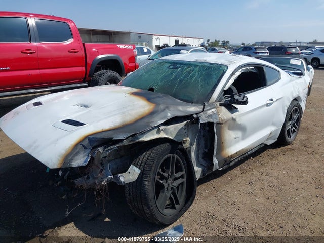 Ford Mustang Ecoboost Fastback 2021 1FA6P8TH6M5104559 Image 6