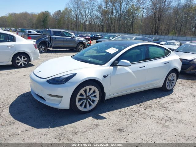 5YJ3E1EA7PF592966 Tesla Model 3 Rear-wheel Drive