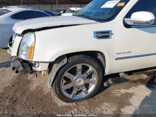 2010 CADILLAC ESCALADE HYBRID 1GYUKEEJ5AR213172 Photo 1