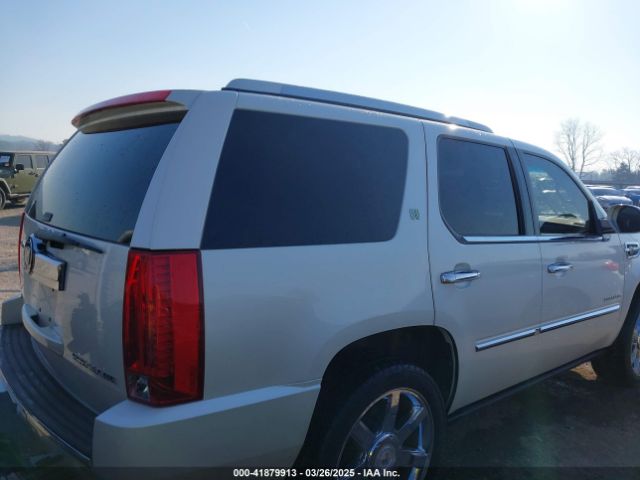2010 CADILLAC ESCALADE HYBRID 1GYUKEEJ5AR213172 Photo 3