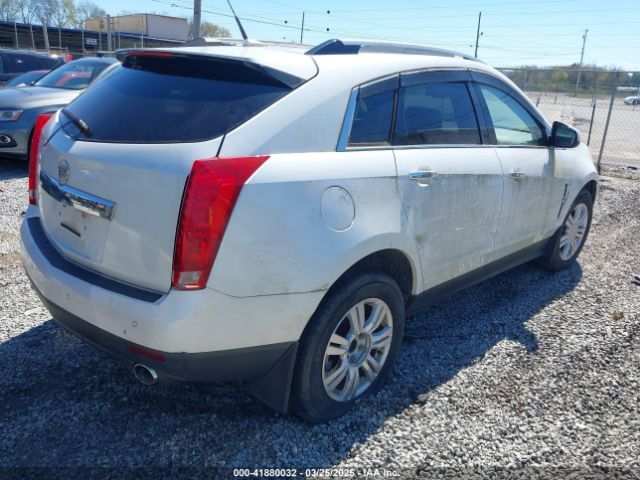 2011 CADILLAC SRX 3GYFNAEY4BS545124 Photo 3