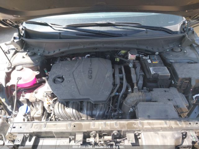 5NTJC4DE8RH116542 Hyundai Santa Cruz Sel