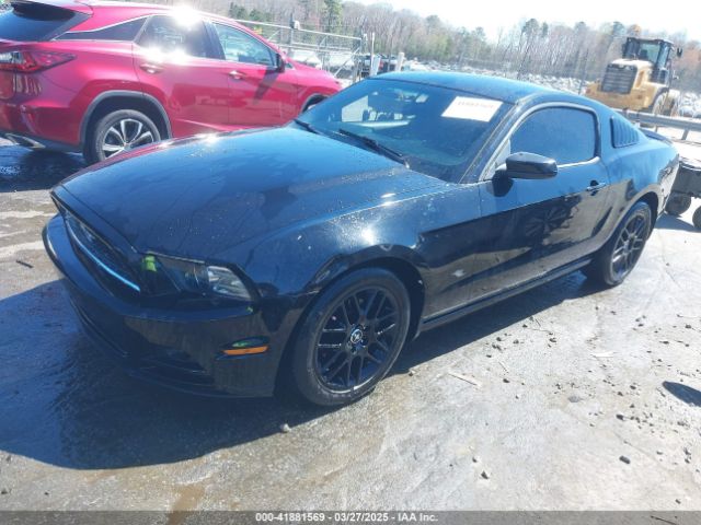 1ZVBP8AM2E5244714 Ford Mustang V6