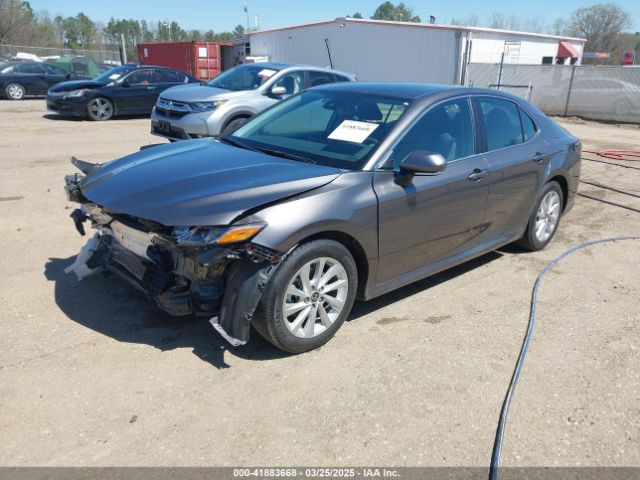 4T1R11AK2MU566178 Toyota CAMRY LE