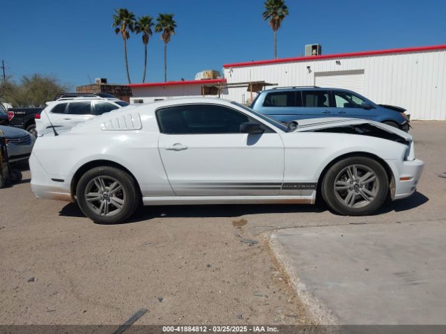 1ZVBP8AM0E5268865 Ford Mustang V6