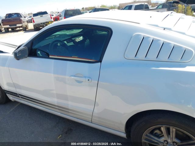 1ZVBP8AM0E5268865 Ford Mustang V6