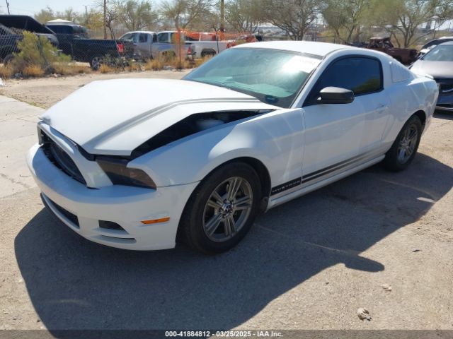 1ZVBP8AM0E5268865 Ford Mustang V6