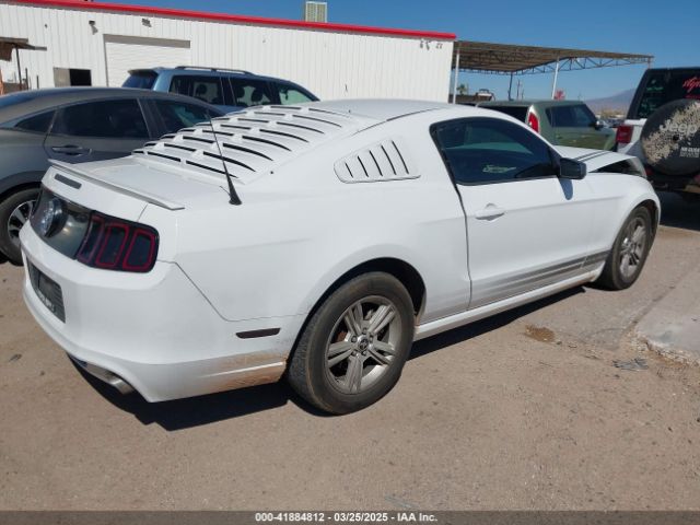 1ZVBP8AM0E5268865 Ford Mustang V6