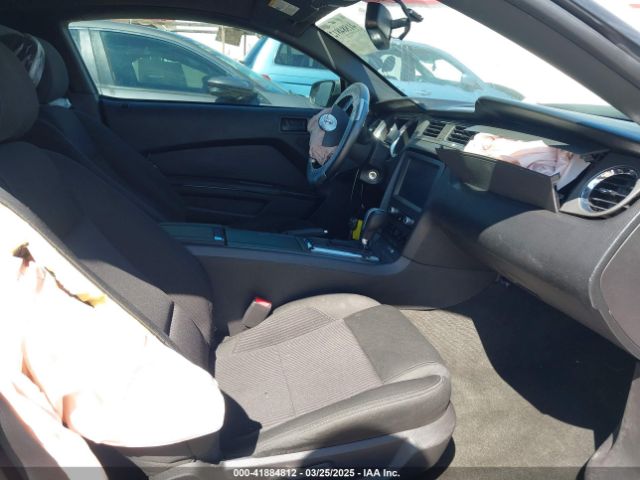 1ZVBP8AM0E5268865 Ford Mustang V6