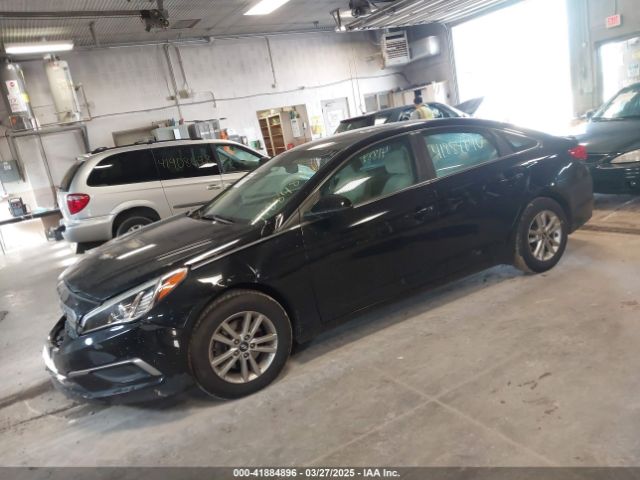 5NPE24AF5GH260658 Hyundai SONATA SE
