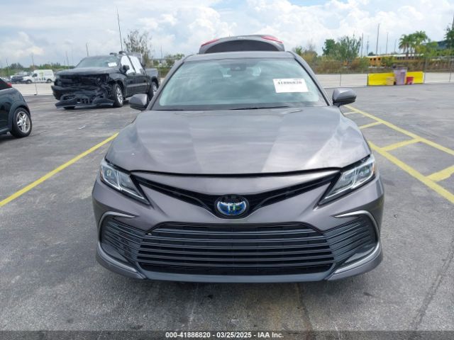 4T1C31AK9RU070219 Toyota Camry Hybrid Le