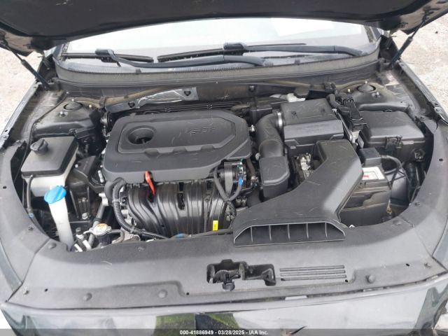 5NPE34AF1JH699344 Hyundai Sonata Sel+