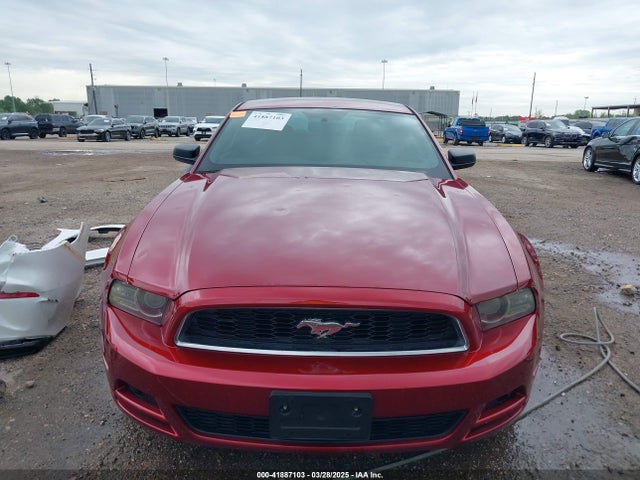 1ZVBP8AM0E5206169 Ford Mustang V6
