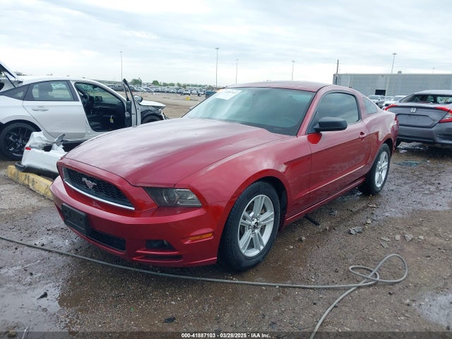 1ZVBP8AM0E5206169 Ford Mustang V6