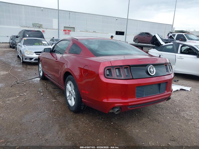 1ZVBP8AM0E5206169 Ford Mustang V6