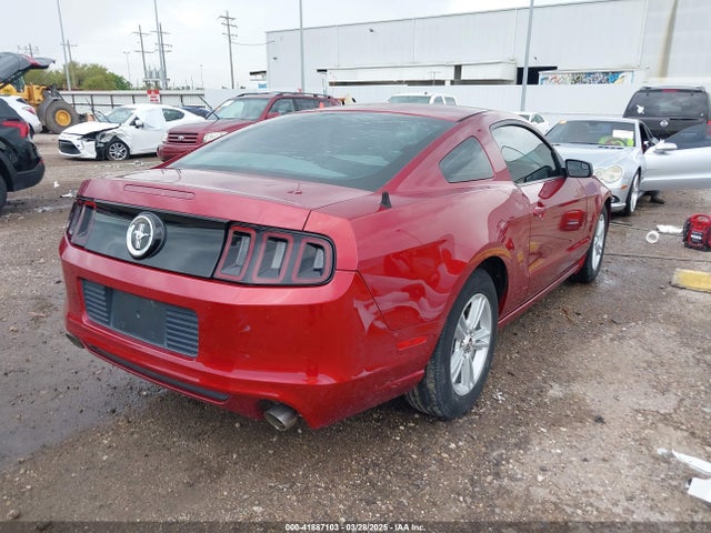 1ZVBP8AM0E5206169 Ford Mustang V6