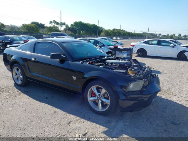 2009 FORD MUSTANG 1ZVHT82H195130037 Photo 0