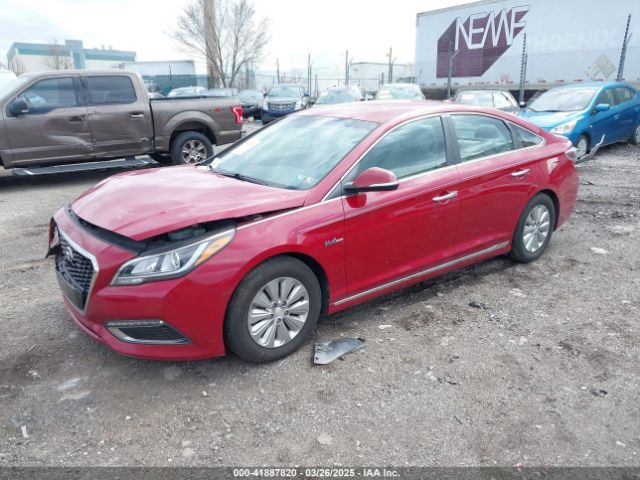 KMHE24L19GA036443 Hyundai Sonata Hybrid Se
