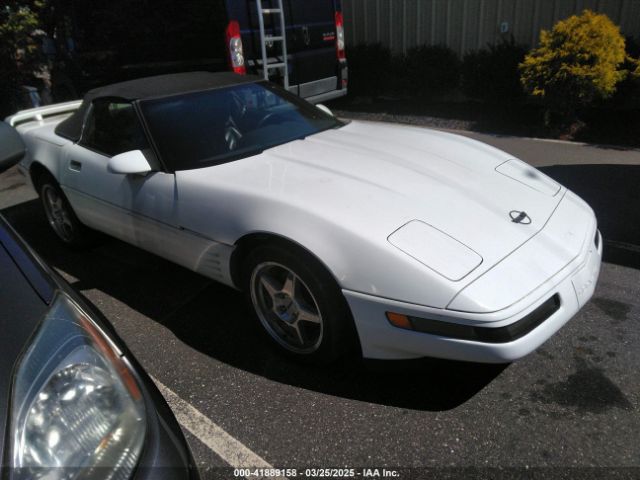1991 CHEVROLET CORVETTE 1G1YY338XM5114135