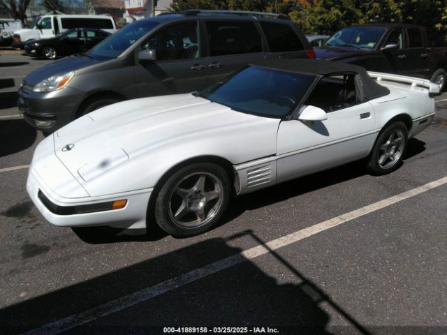 1991 CHEVROLET CORVETTE 1G1YY338XM5114135 Photo 1