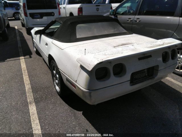 1991 CHEVROLET CORVETTE 1G1YY338XM5114135 Photo 2